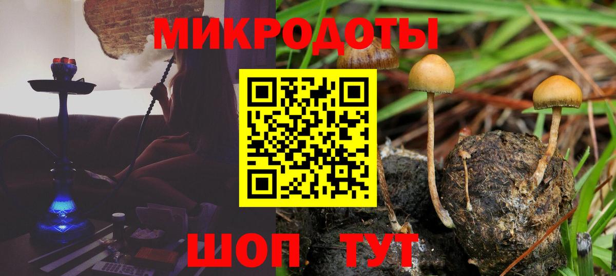 Галлюциногенные грибы Psilocybe Черкесск